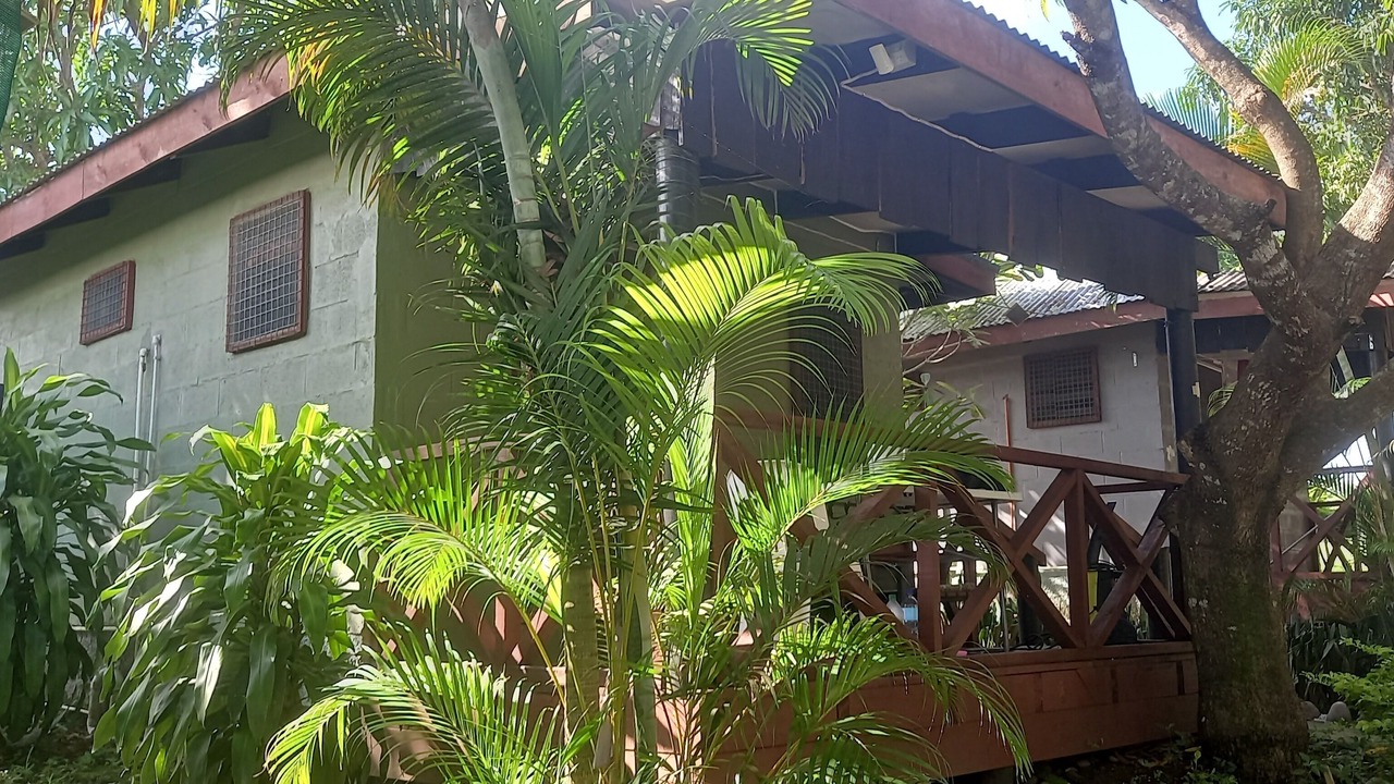 Photo of Outdoor in Ba
