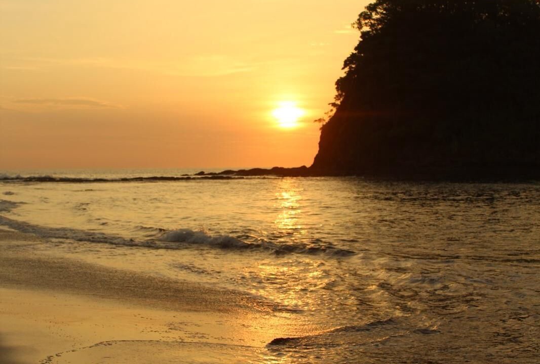 Photo of Others in Tamarindo