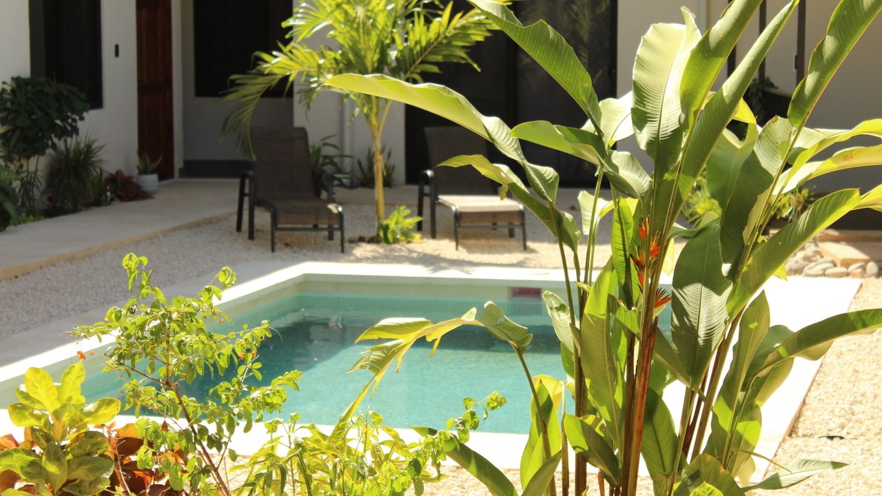 Photo of Outdoor in Tamarindo
