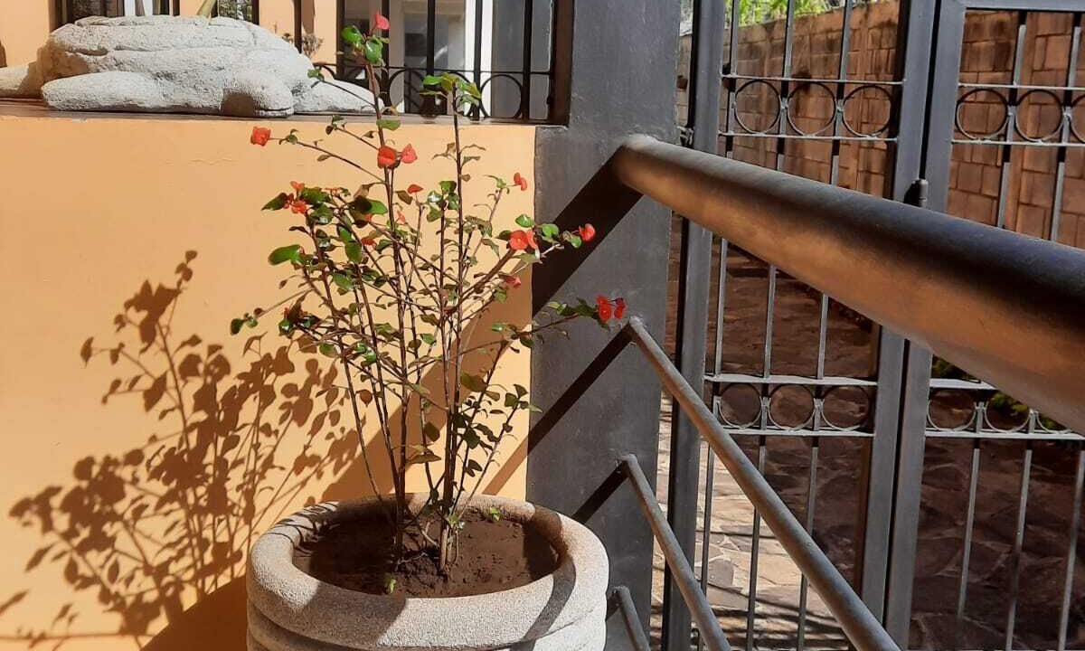Photo of Outdoor in Rivas
