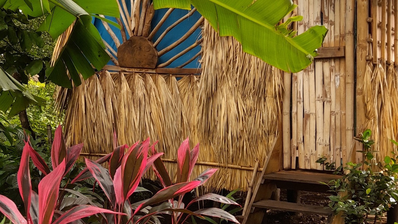 Photo of Outdoor in Balgue
