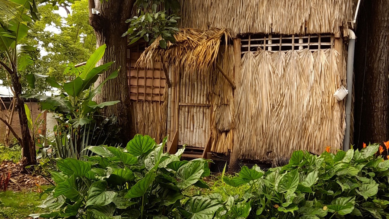 Photo of Outdoor in Balgue