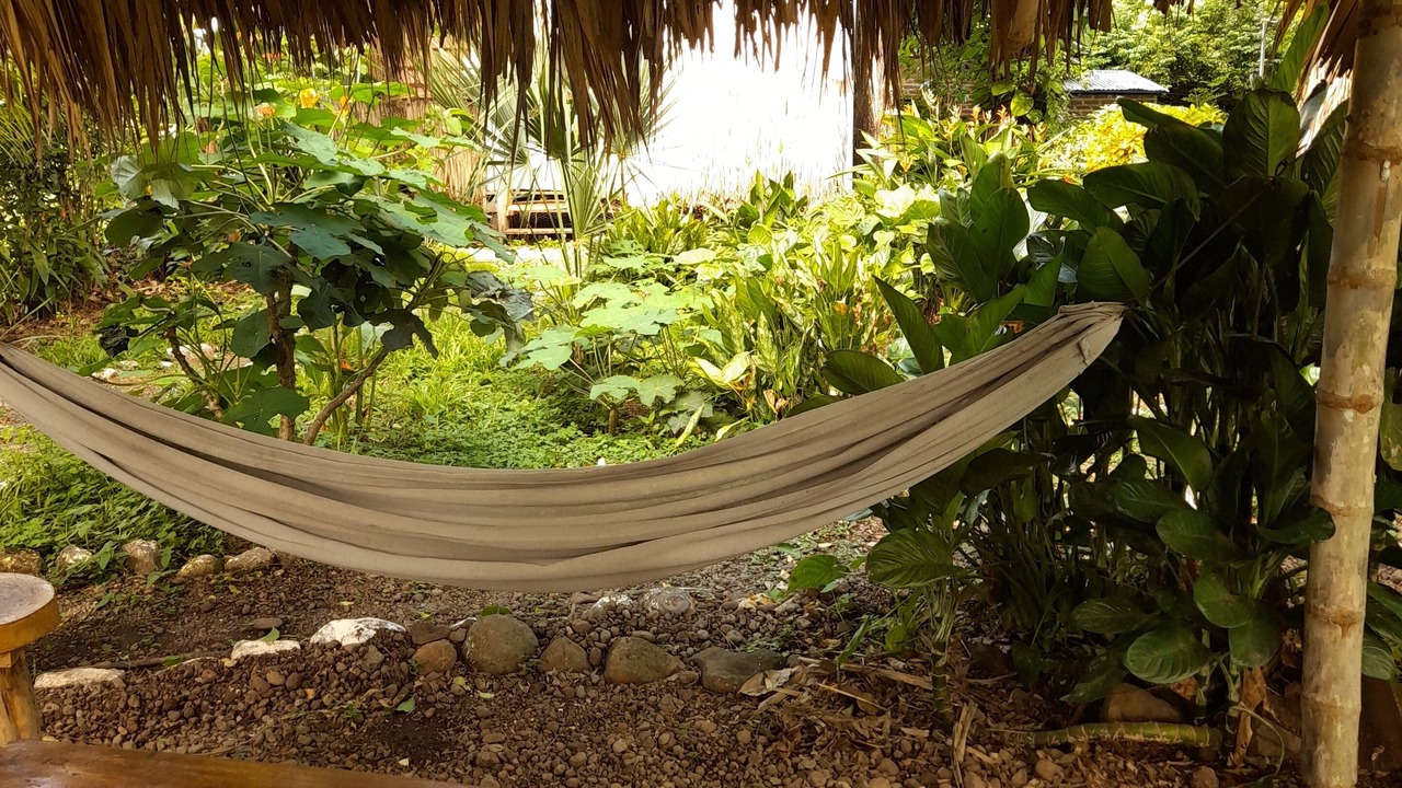 Photo of Outdoor in Balgue