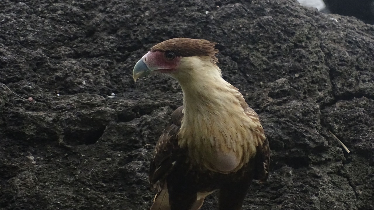 Photo of Outdoor in Balgue
