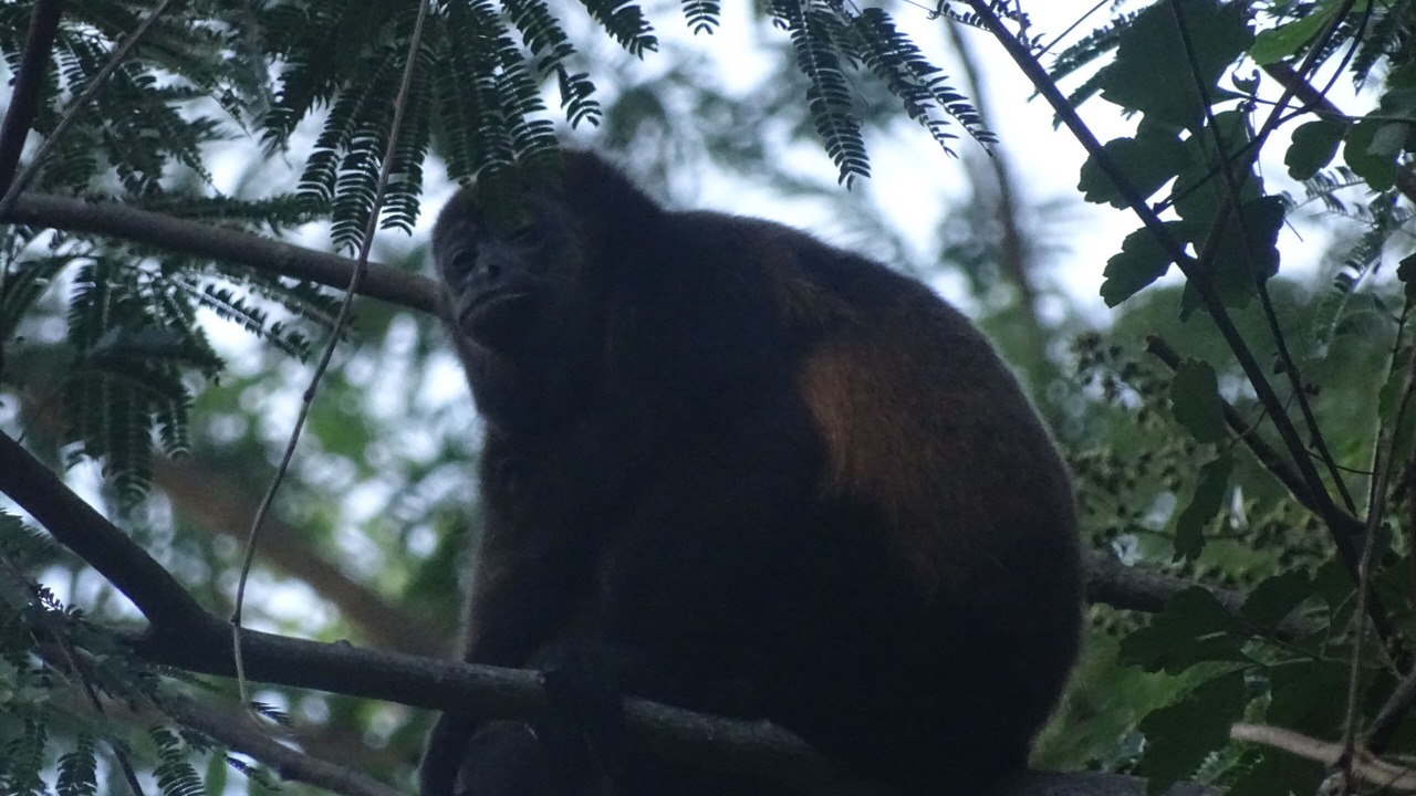 Photo of Outdoor in Balgue