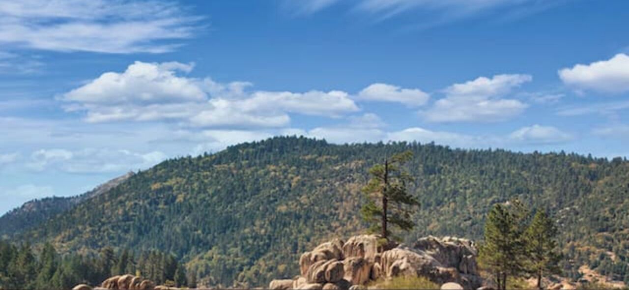 Photo of Others in Big Bear Lake