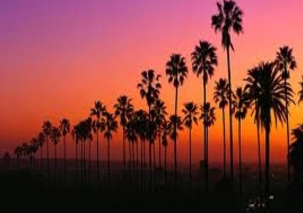 Photo of Outdoor in Venice Canals