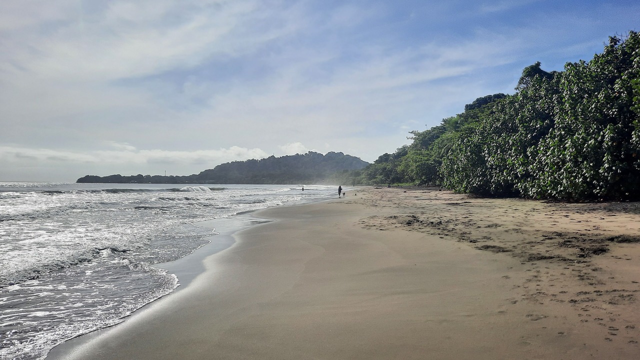 Photo of Others in Puerto Viejo de Talamanca