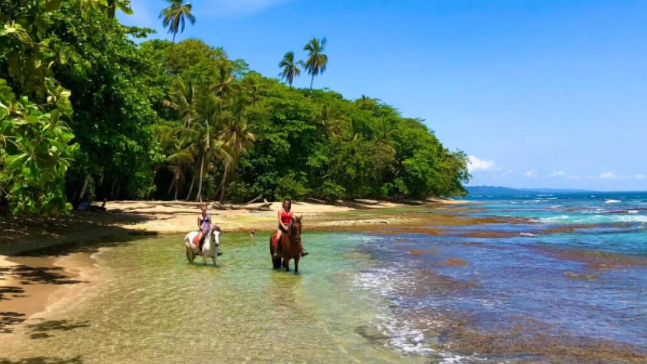 Photo of Others in Puerto Viejo de Talamanca