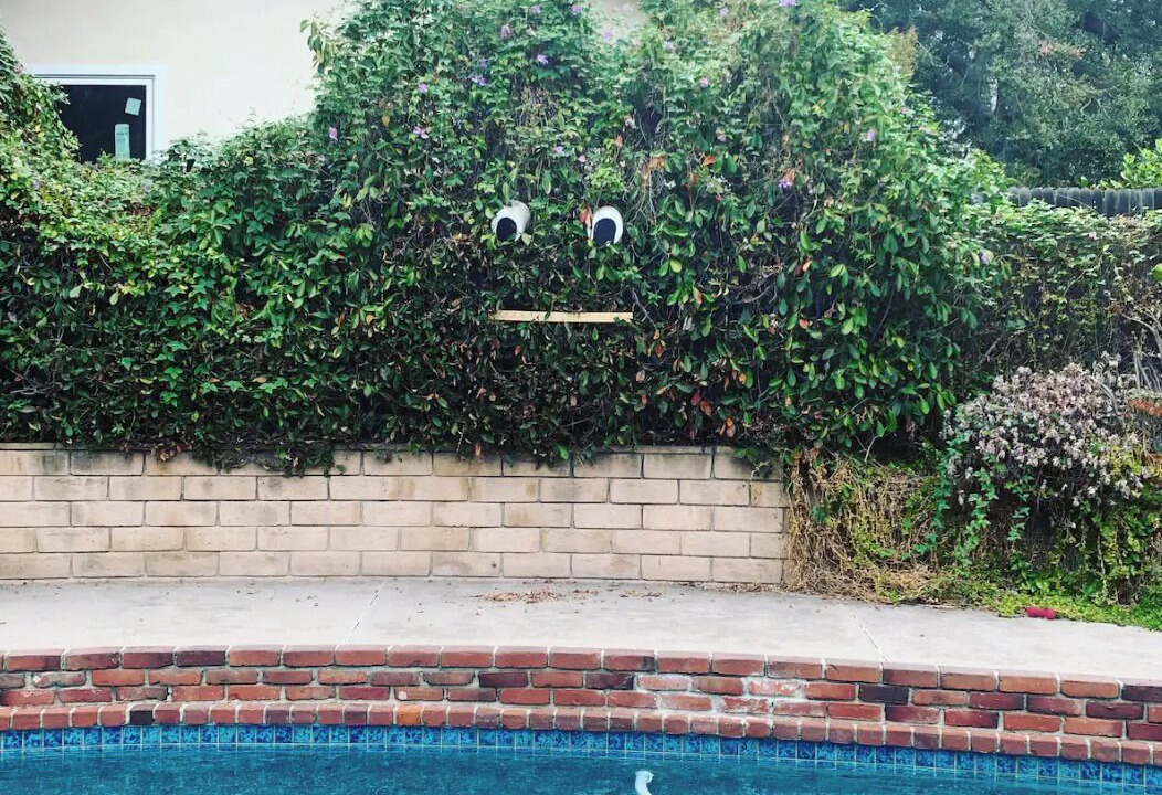 Photo of Outdoor in Sierra Madre