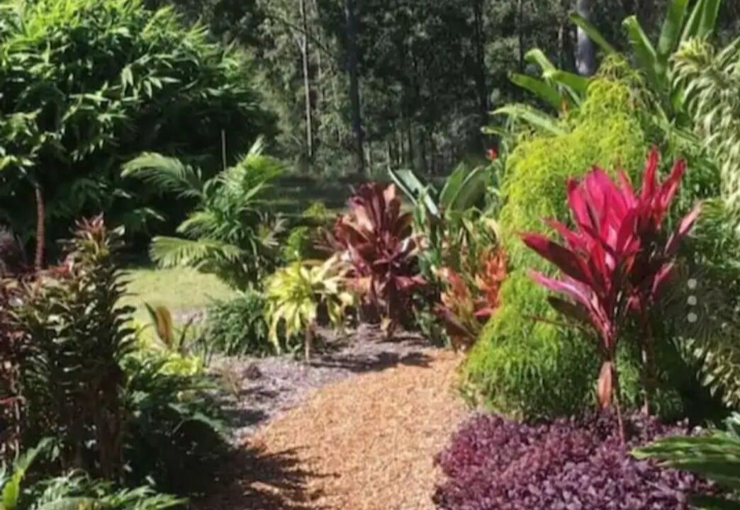 Photo of Outdoor in Mudgeeraba