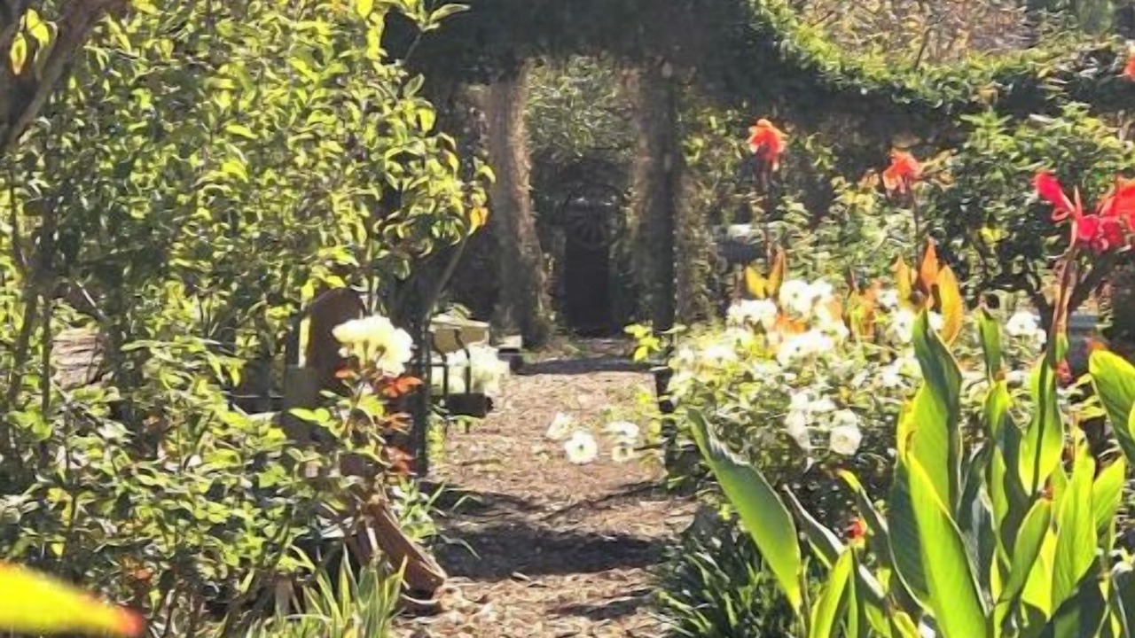 Photo of Outdoor in Ojai
