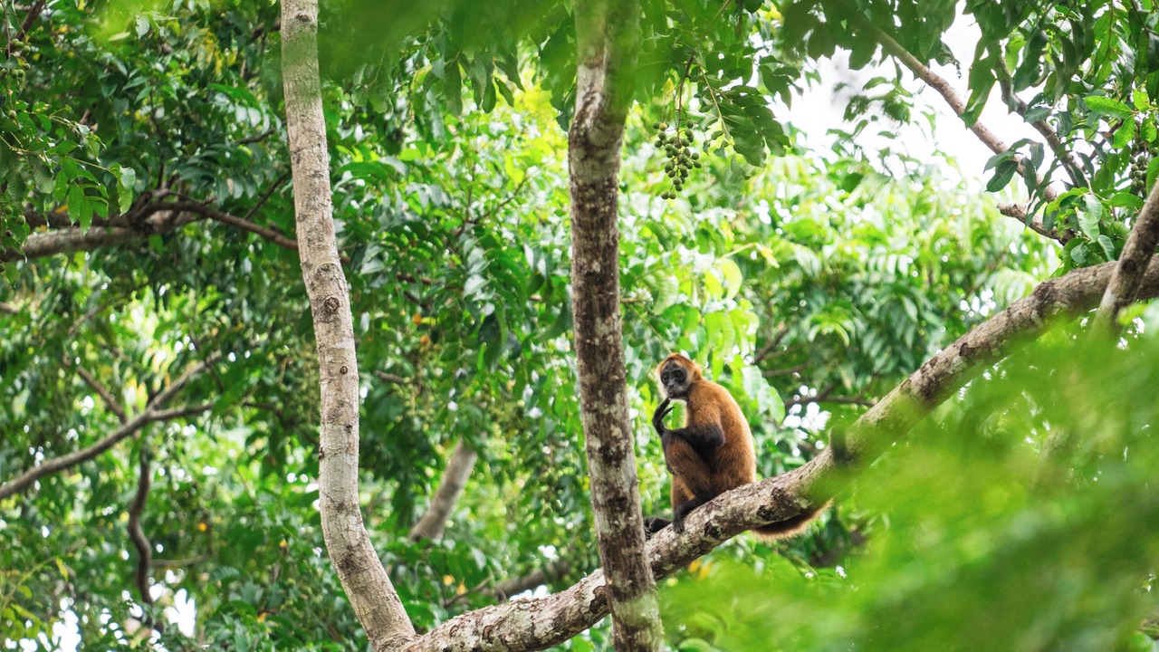 Photo of Others in Punta Uva