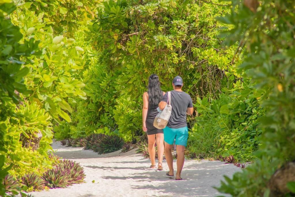 Photo of Others in Thoddoo
