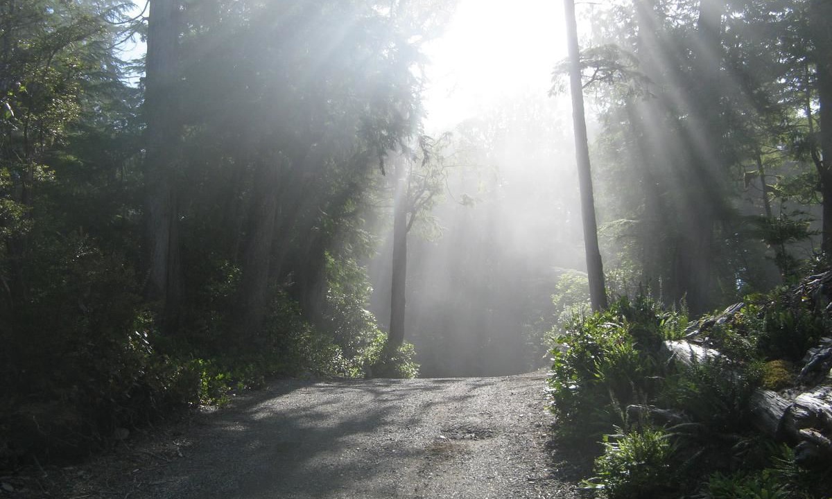 Photo of Outdoor in Ucluelet