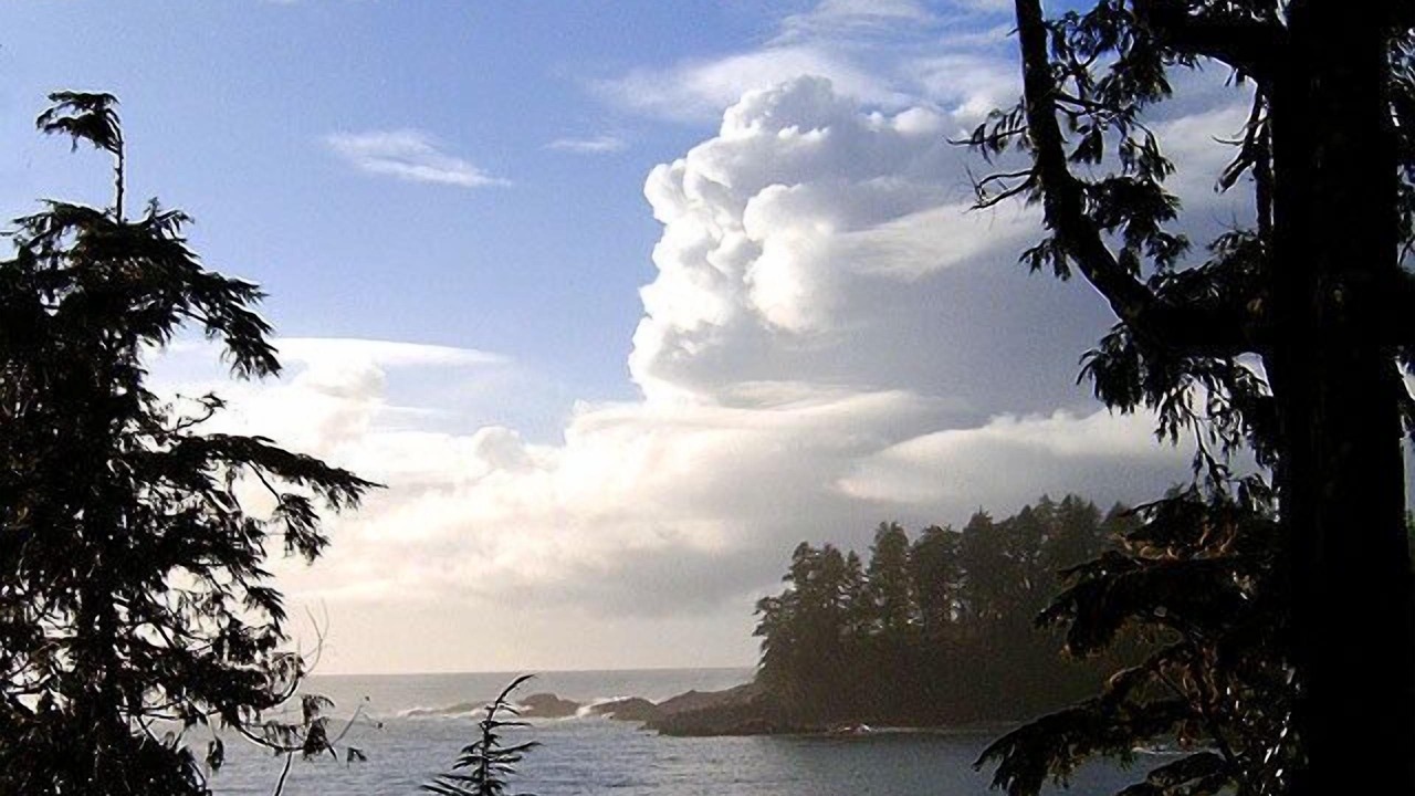 Photo of Others in Ucluelet