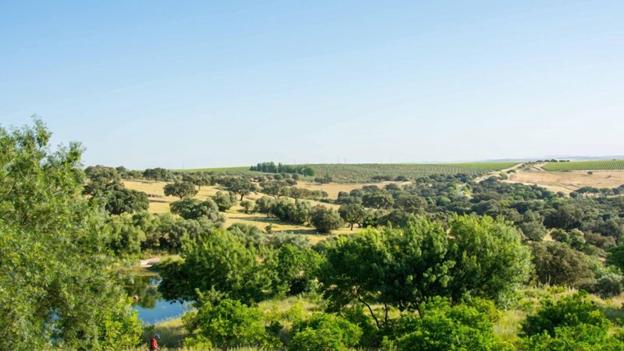 Photo of Outdoor in Elvas