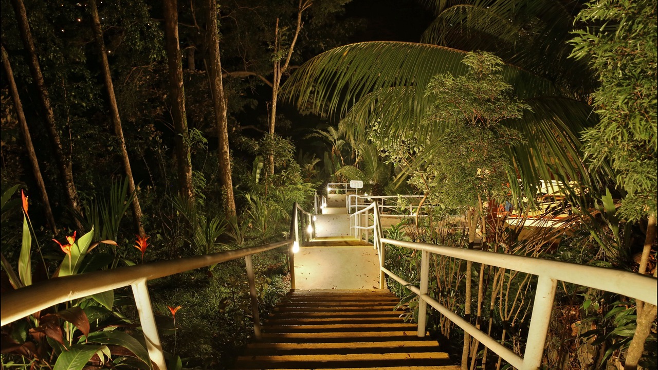 Photo of Outdoor in Ballena