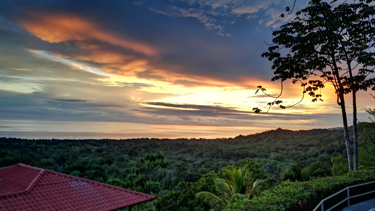 Photo of Patio Balcony in Ballena