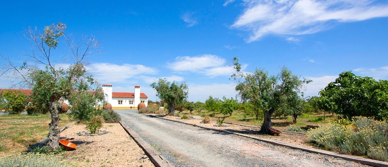 Photo of Outdoor in Ferreira do Alentejo