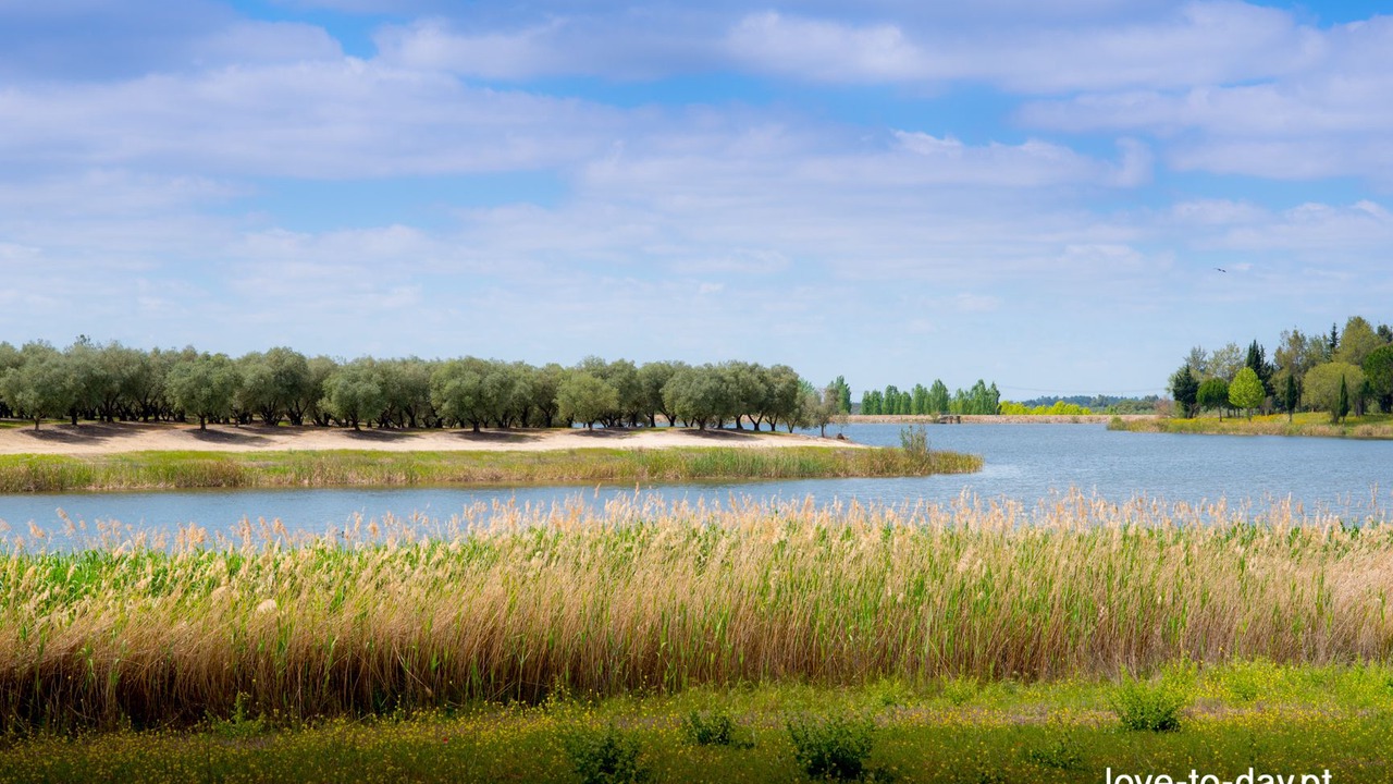 Photo of Outdoor in Ferreira do Alentejo