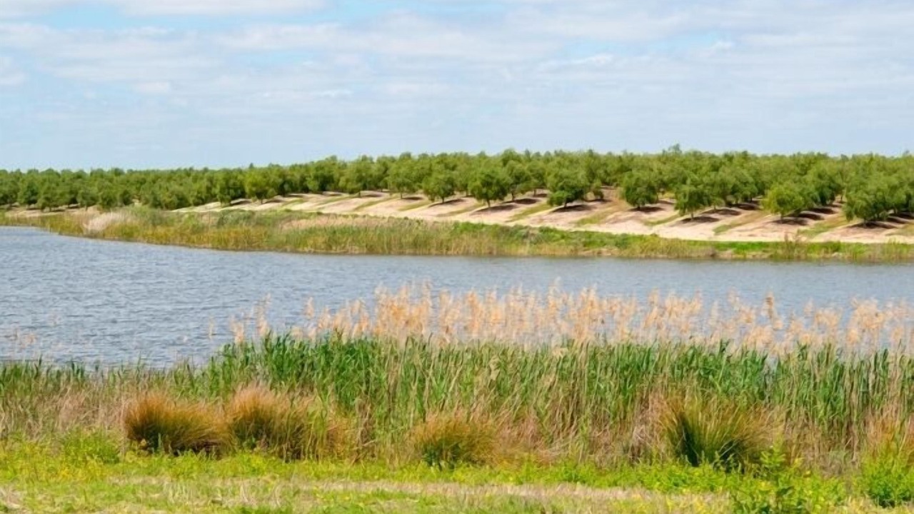 Photo of Outdoor in Ferreira do Alentejo