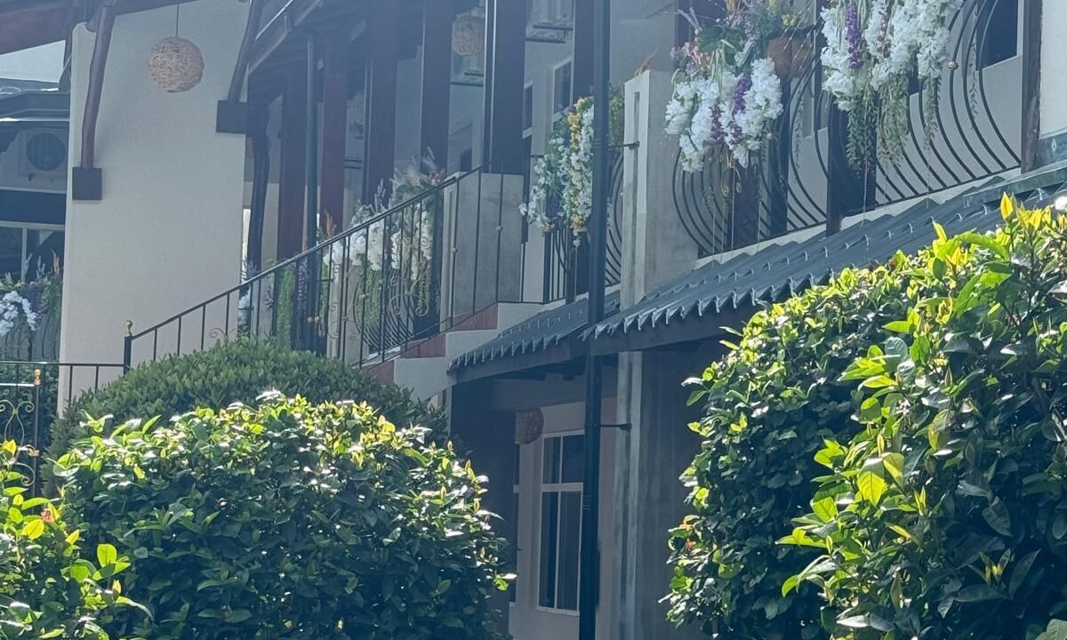 Photo of Outdoor in Potrero