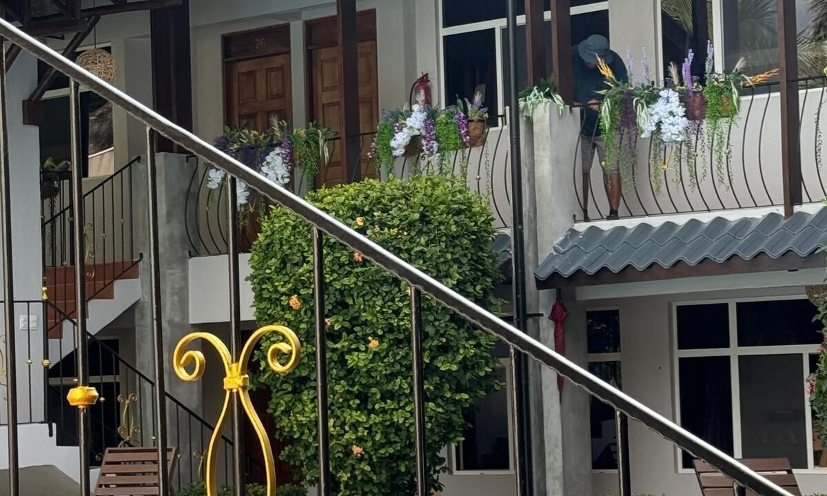 Photo of Outdoor in Potrero