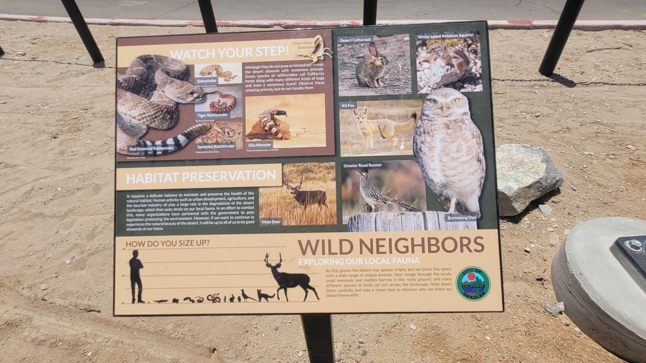 Photo of Others in Colorado Shores