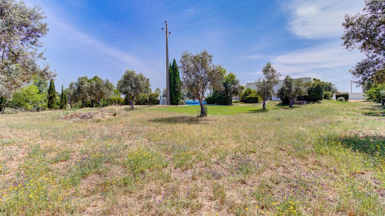 Photo of Outdoor in Montemor-o-Novo