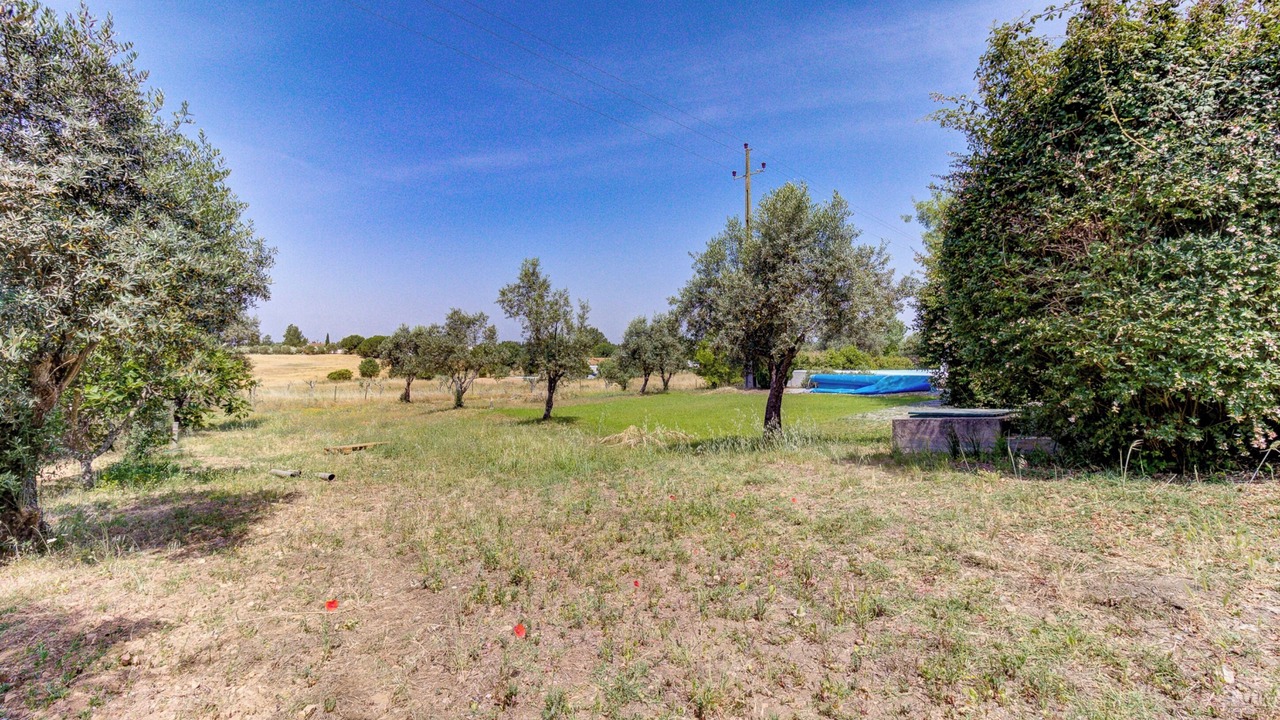 Photo of Outdoor in Montemor-o-Novo