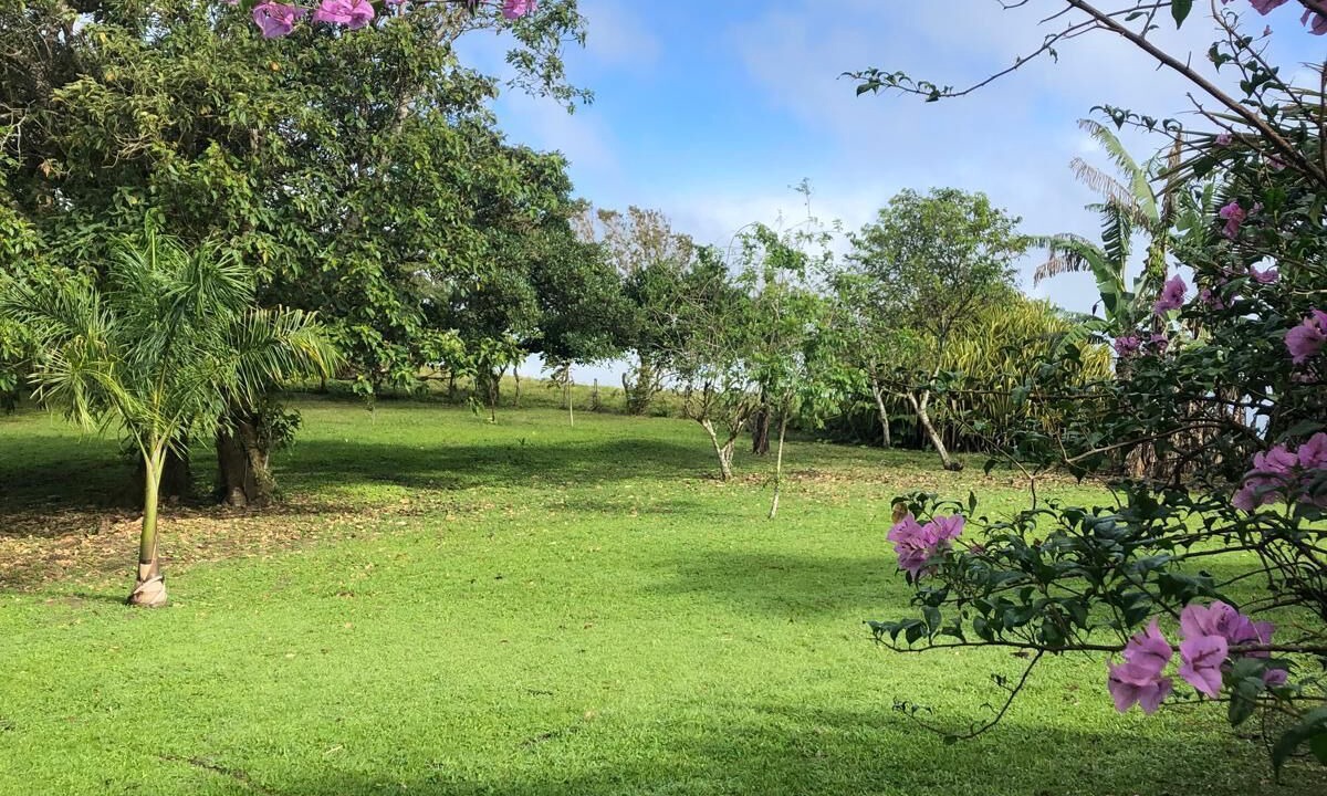 Photo of Outdoor in Tilaran