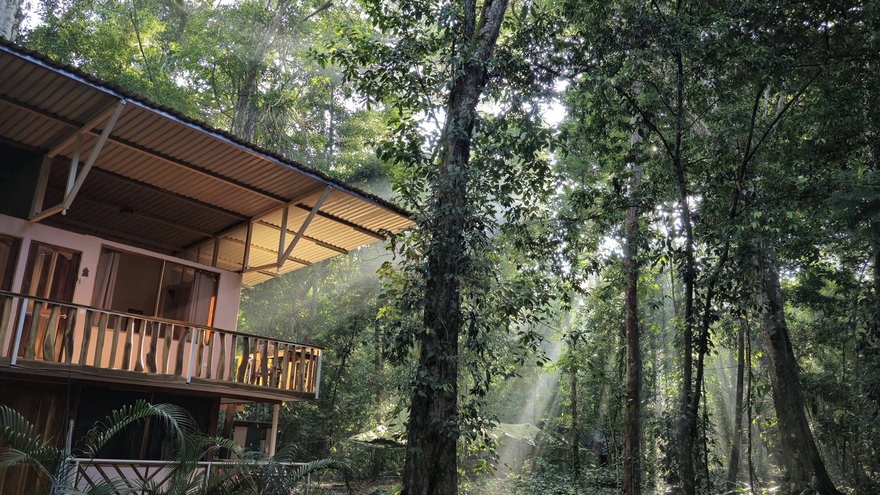 Photo of Outdoor in Ballena