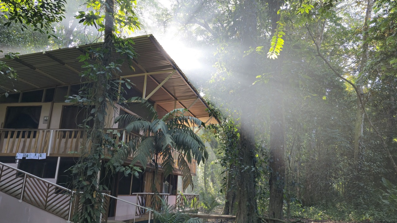 Photo of Outdoor in Ballena