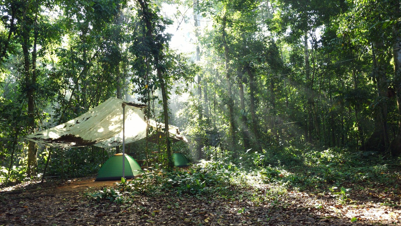 Photo of Outdoor in Ballena