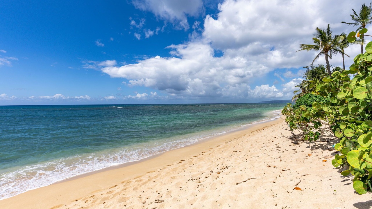 Photo of Others in Mokuleia