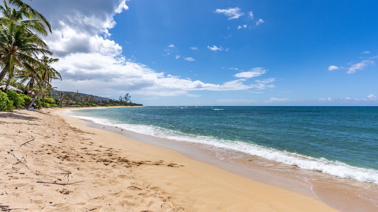 Photo of Others in Mokuleia