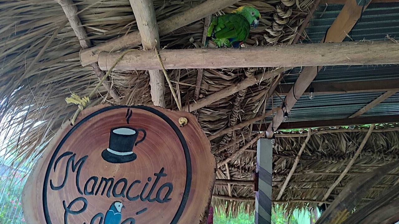 Photo of Outdoor in Moyogalpa