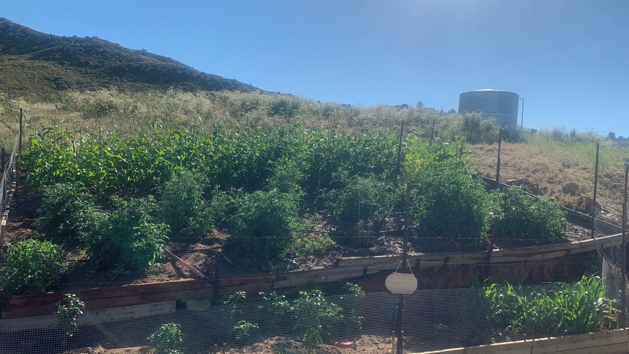 Photo of Outdoor in Descanso