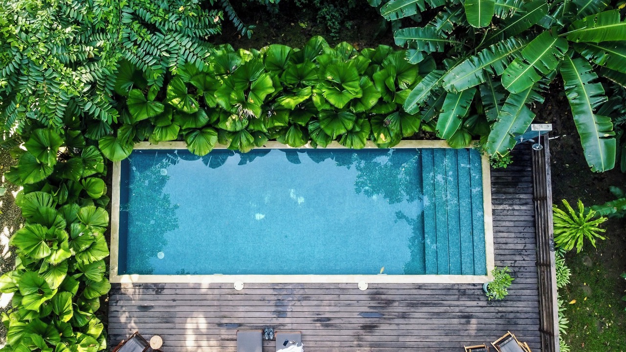 Photo of Outdoor in Cocles