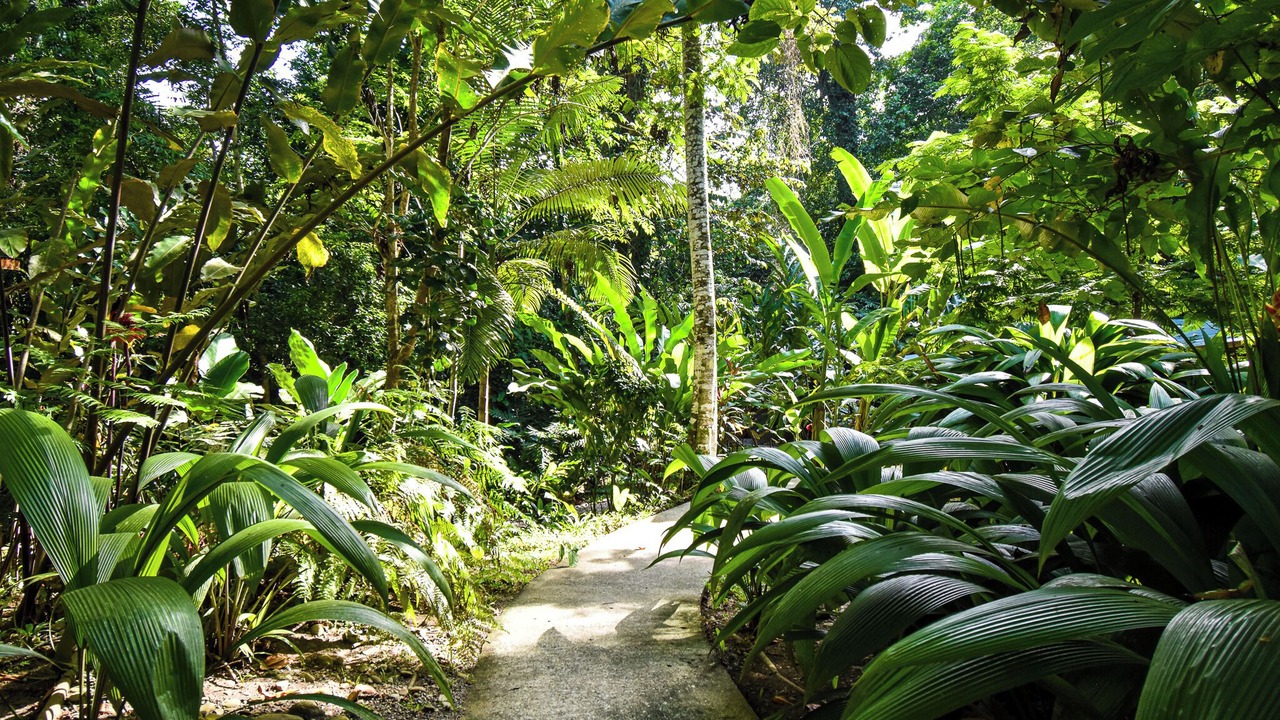 Photo of Outdoor in Cocles