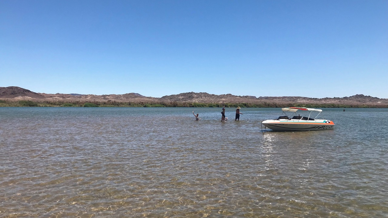 Photo of Others in Palo Verde