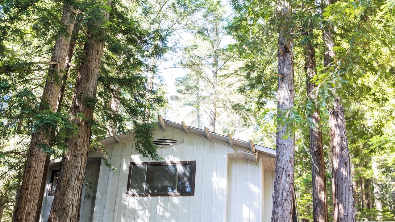 Photo of Outdoor in Timber Cove