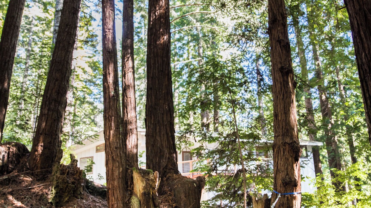 Photo of Outdoor in Timber Cove
