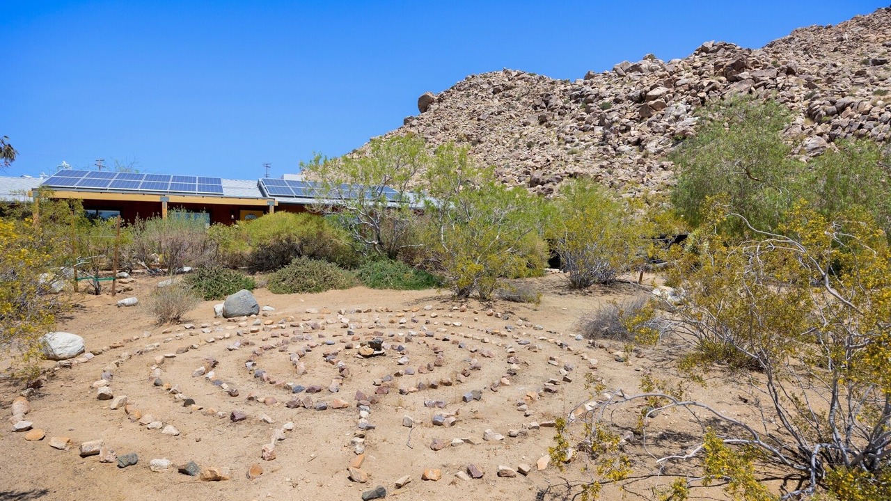 Photo of Others in Joshua Tree