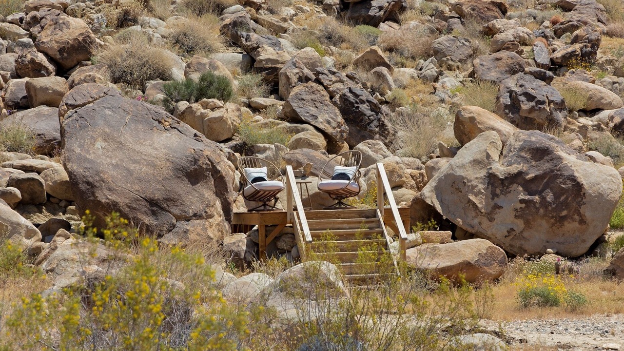 Photo of Others in Joshua Tree