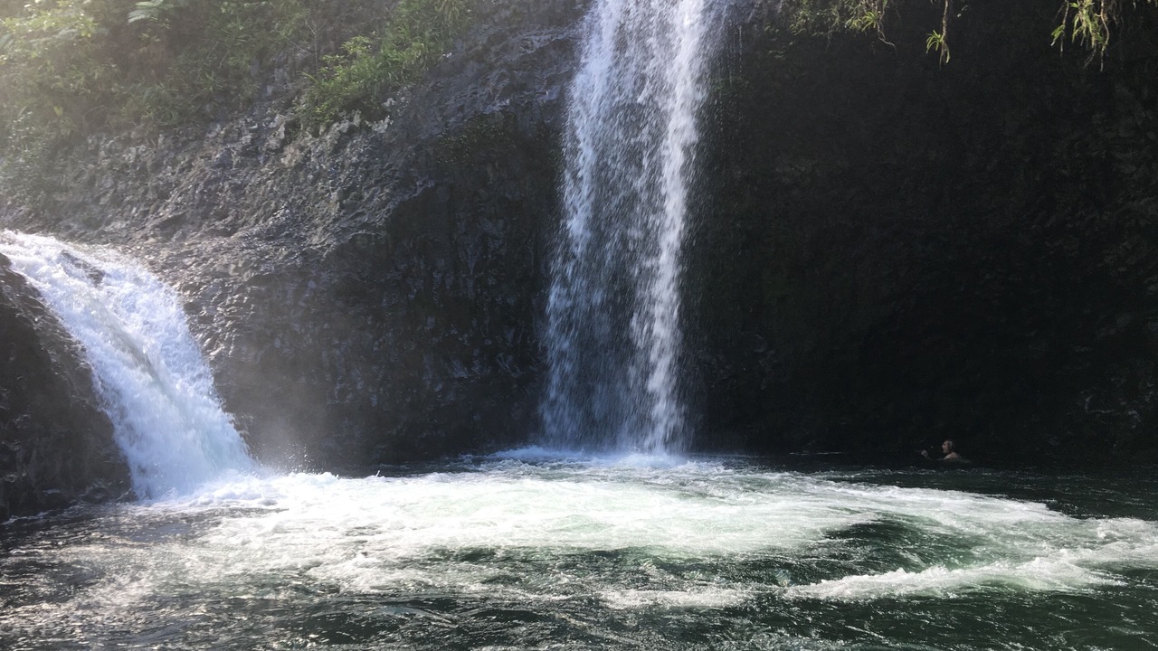 Photo of Others in Taveuni Island East