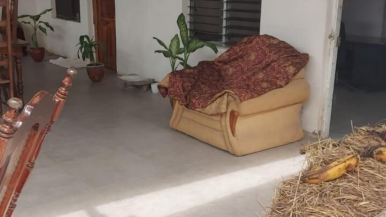 Photo of Bedroom in Rivas