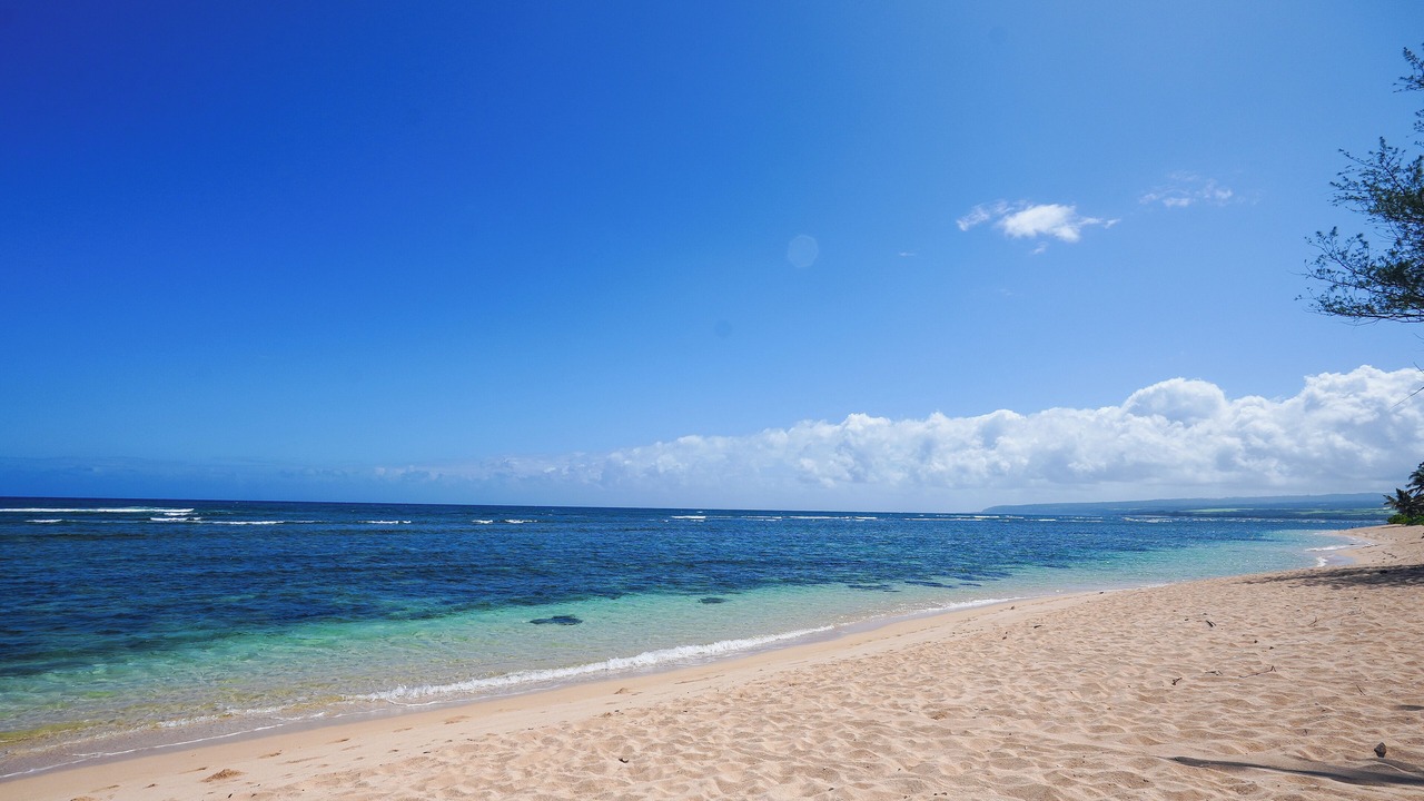 Photo of Others in Mokuleia