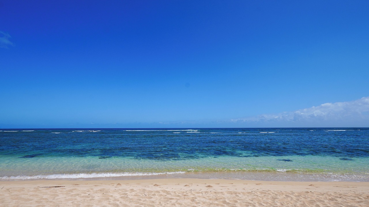 Photo of Others in Mokuleia